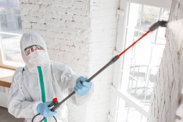Best Comprehensive Air Testing for Mold Contaminants  in Novato, CA