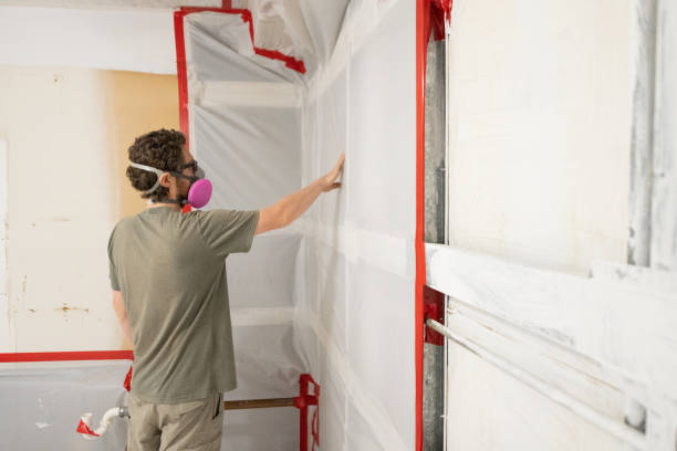 Best Mold Removal for HVAC Installations  in Novato, CA