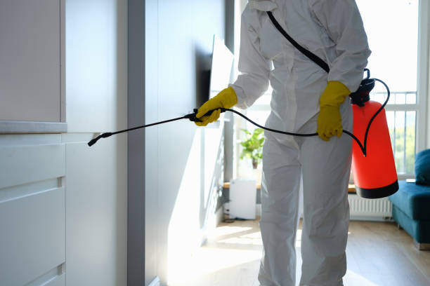 Mold Documentation for Insurance Claims in Novato, CA