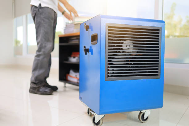 Forensic Mold Investigation in Novato, CA