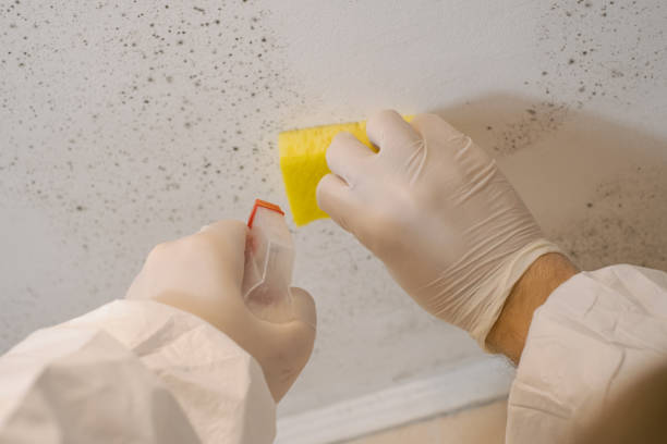 Best Indoor Air Quality Assessment  in Novato, CA